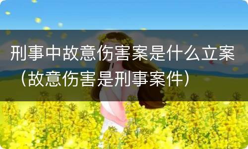 刑事中故意伤害案是什么立案（故意伤害是刑事案件）