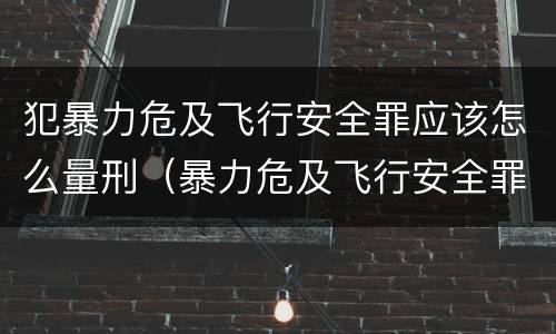 犯暴力危及飞行安全罪应该怎么量刑（暴力危及飞行安全罪司法解释）