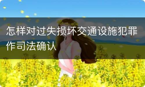怎样对过失损坏交通设施犯罪作司法确认