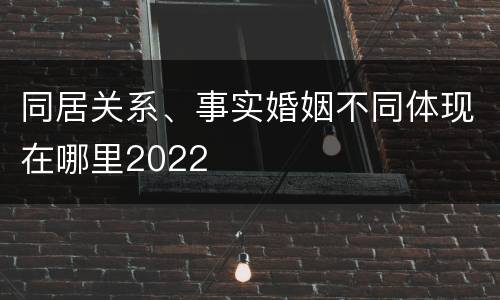 同居关系、事实婚姻不同体现在哪里2022