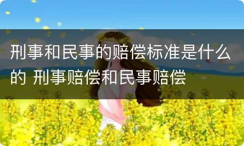 刑事和民事的赔偿标准是什么的 刑事赔偿和民事赔偿