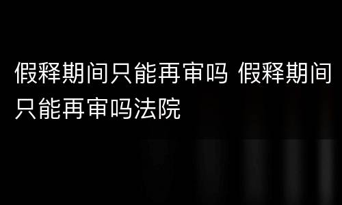 假释期间只能再审吗 假释期间只能再审吗法院