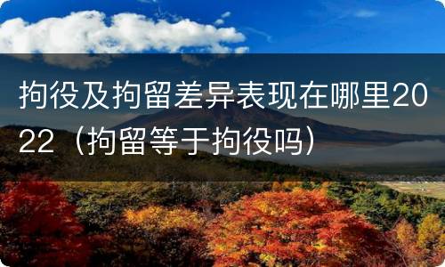 拘役及拘留差异表现在哪里2022（拘留等于拘役吗）
