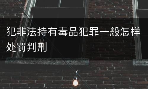 犯非法持有毒品犯罪一般怎样处罚判刑
