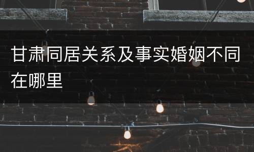 甘肃同居关系及事实婚姻不同在哪里