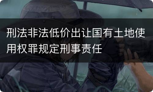 刑法非法低价出让国有土地使用权罪规定刑事责任