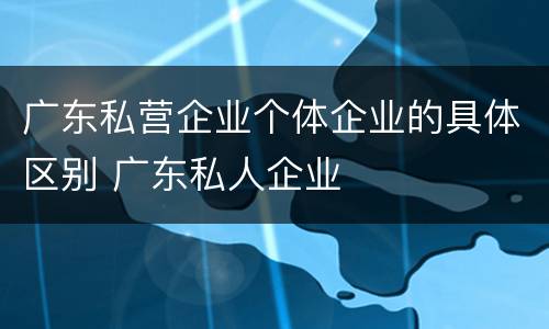广东私营企业个体企业的具体区别 广东私人企业