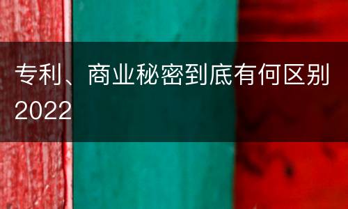 专利、商业秘密到底有何区别2022
