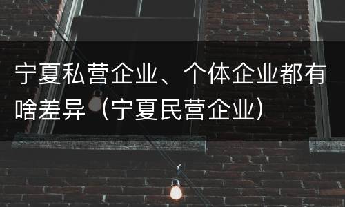 宁夏私营企业、个体企业都有啥差异（宁夏民营企业）