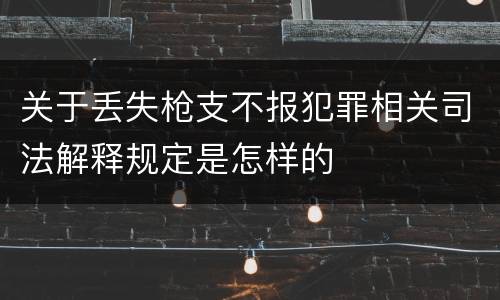 关于丢失枪支不报犯罪相关司法解释规定是怎样的