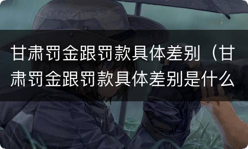 甘肃罚金跟罚款具体差别（甘肃罚金跟罚款具体差别是什么）