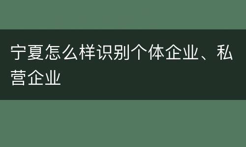 宁夏怎么样识别个体企业、私营企业
