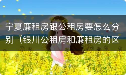 宁夏廉租房跟公租房要怎么分别（银川公租房和廉租房的区别）