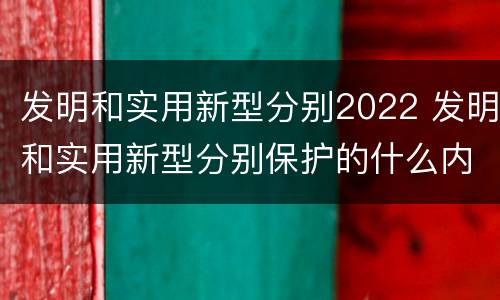发明和实用新型分别2022 发明和实用新型分别保护的什么内容