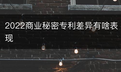 2022商业秘密专利差异有啥表现