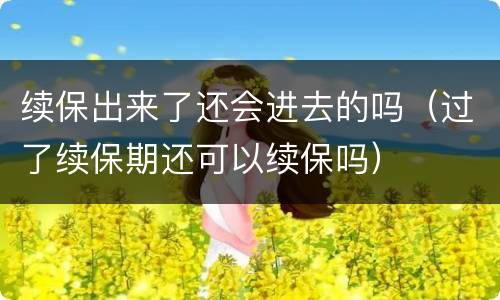 续保出来了还会进去的吗（过了续保期还可以续保吗）
