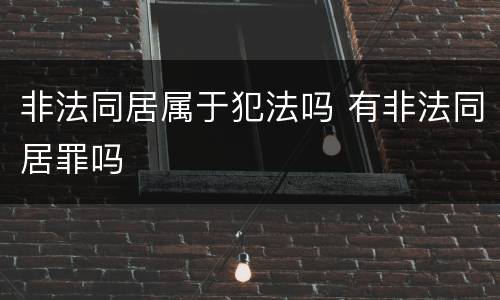 非法同居属于犯法吗 有非法同居罪吗