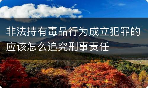 非法持有毒品行为成立犯罪的应该怎么追究刑事责任