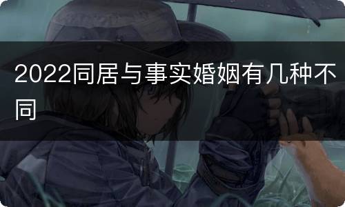 2022同居与事实婚姻有几种不同