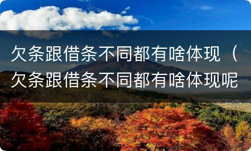 欠条跟借条不同都有啥体现（欠条跟借条不同都有啥体现呢）