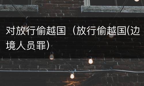 对放行偷越国（放行偷越国(边境人员罪）