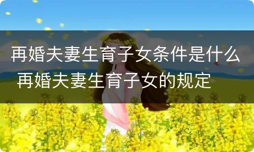 再婚夫妻生育子女条件是什么 再婚夫妻生育子女的规定