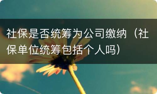 社保是否统筹为公司缴纳（社保单位统筹包括个人吗）