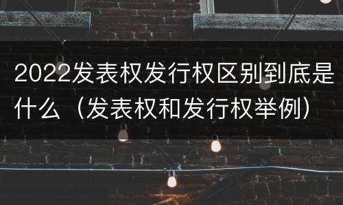 2022发表权发行权区别到底是什么（发表权和发行权举例）
