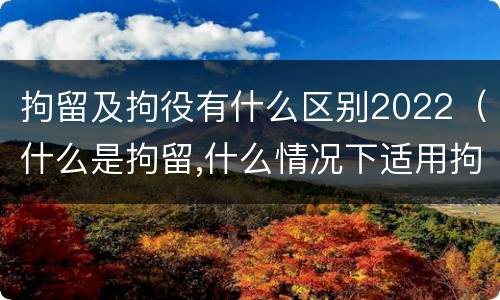 拘留及拘役有什么区别2022（什么是拘留,什么情况下适用拘留）