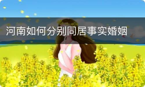 河南如何分别同居事实婚姻