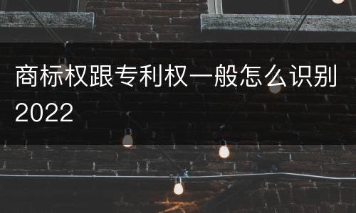 商标权跟专利权一般怎么识别2022