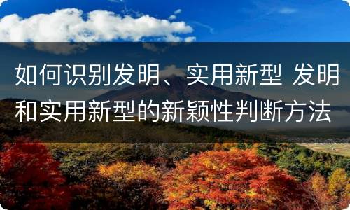 如何识别发明、实用新型 发明和实用新型的新颖性判断方法