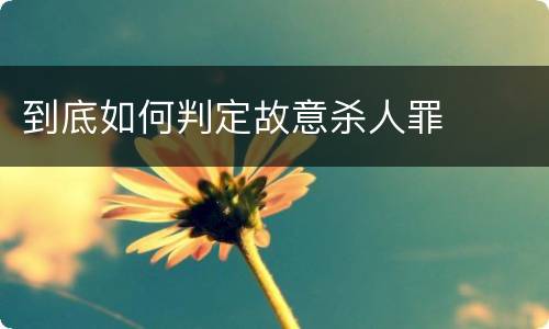 到底如何判定故意杀人罪