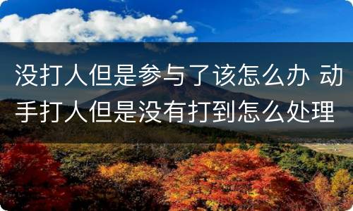 没打人但是参与了该怎么办 动手打人但是没有打到怎么处理?