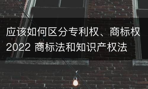 应该如何区分专利权、商标权2022 商标法和知识产权法