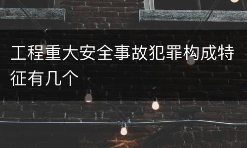 工程重大安全事故犯罪构成特征有几个