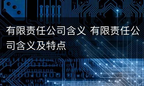 有限责任公司含义 有限责任公司含义及特点