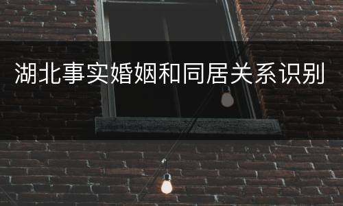 湖北事实婚姻和同居关系识别