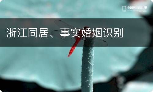 浙江同居、事实婚姻识别