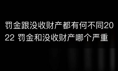 罚金跟没收财产都有何不同2022 罚金和没收财产哪个严重