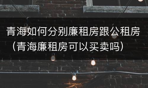 青海如何分别廉租房跟公租房（青海廉租房可以买卖吗）