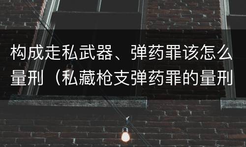 构成走私武器、弹药罪该怎么量刑（私藏枪支弹药罪的量刑标准）