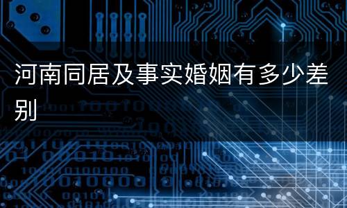 河南同居及事实婚姻有多少差别
