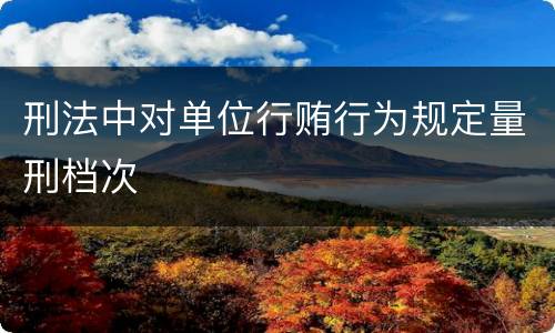 刑法中对单位行贿行为规定量刑档次