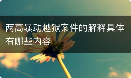 两高暴动越狱案件的解释具体有哪些内容