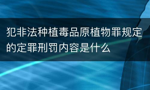 犯非法种植毒品原植物罪规定的定罪刑罚内容是什么