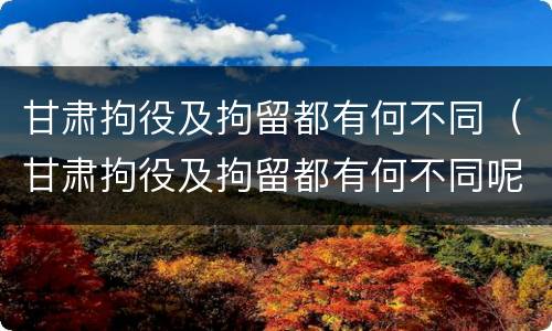 甘肃拘役及拘留都有何不同（甘肃拘役及拘留都有何不同呢）