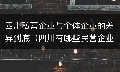 四川私营企业与个体企业的差异到底（四川有哪些民营企业）