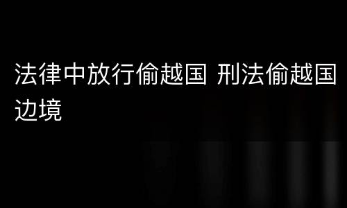 法律中放行偷越国 刑法偷越国边境