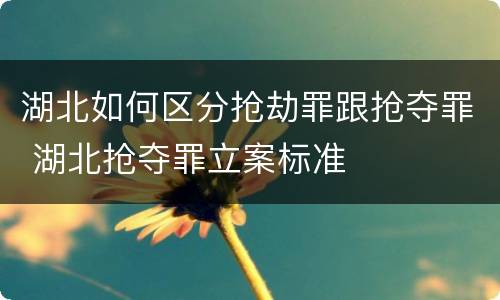湖北如何区分抢劫罪跟抢夺罪 湖北抢夺罪立案标准